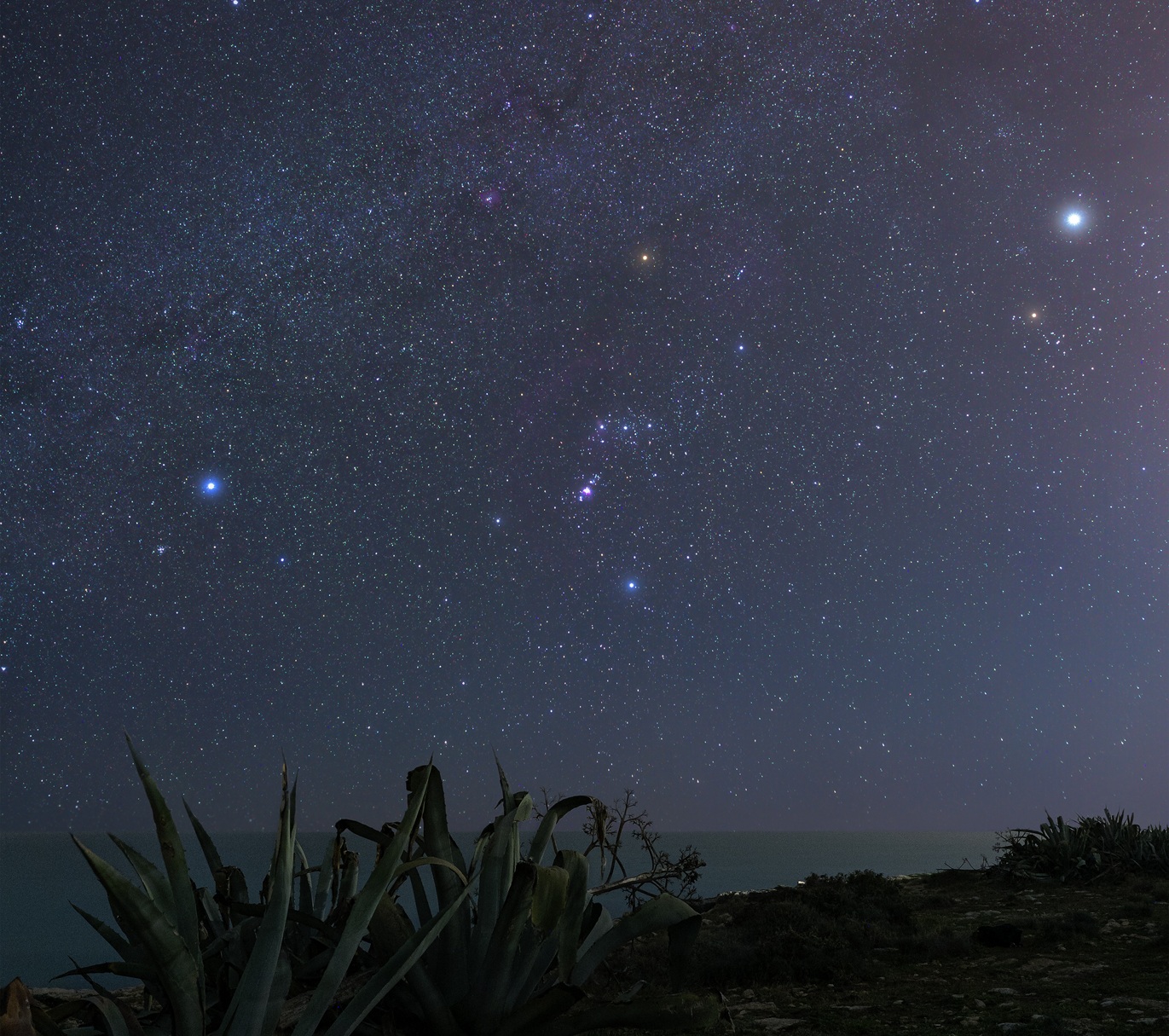 Una distesa di stelle e pianeti: l’incanto del cielo notturno invernale