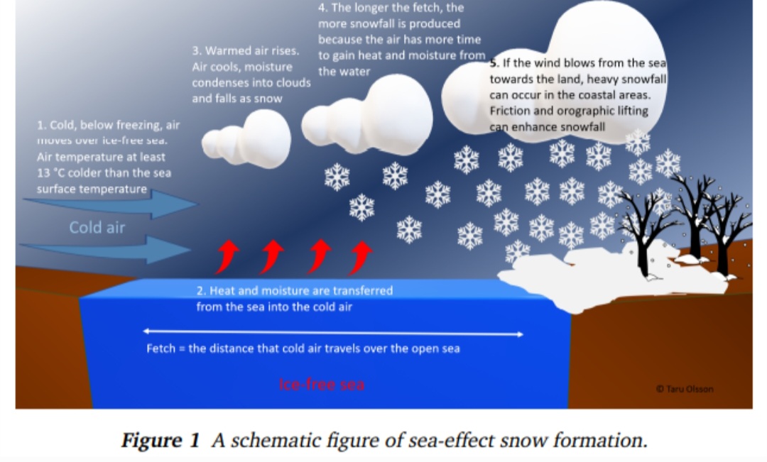 Sea Effect Snow schema