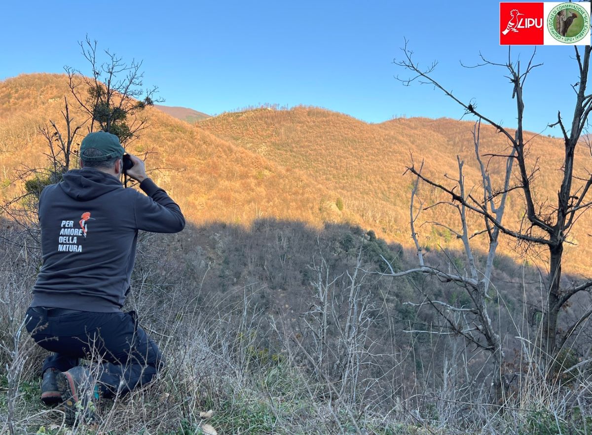 Atlante degli uccelli Svernanti del fiume Cardone: continua il monitoraggio | FOTO