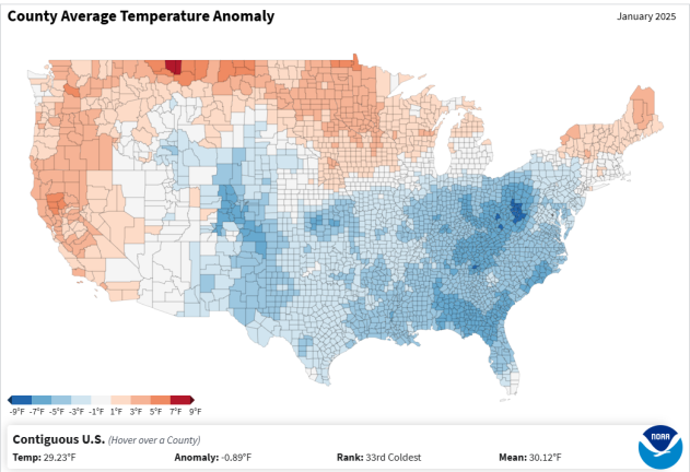 anomalia temperatura USA gennaio 2025