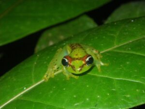 biodiversità conservazione fondi unifi