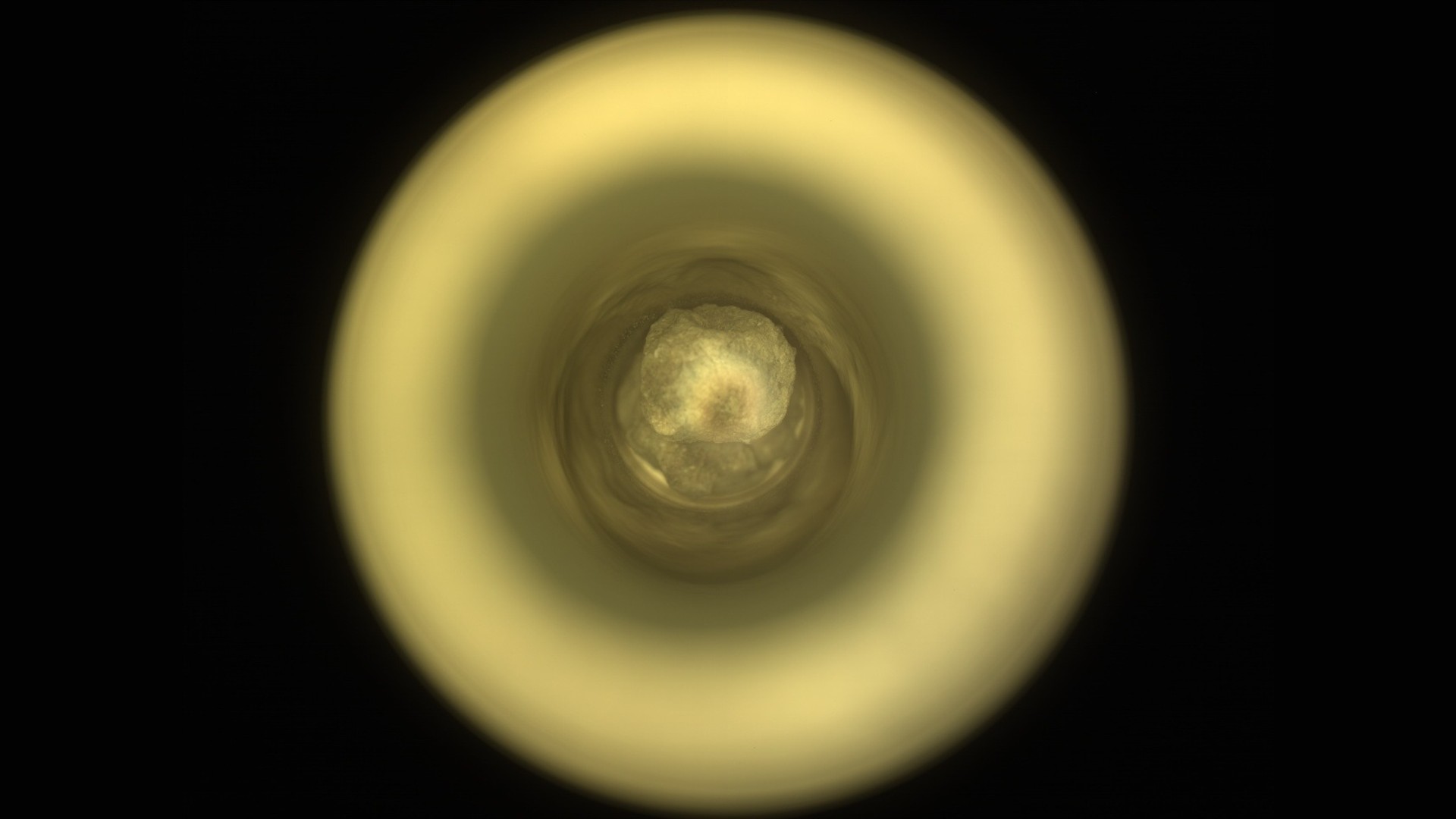 Perseverance scopre un “tesoro unico” su Marte