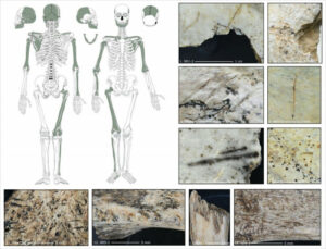 cannibalismo grotta polonia