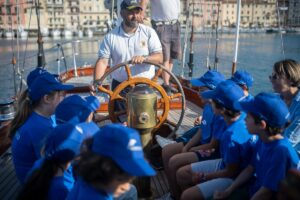 delfini guardiani