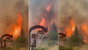 incendi Patagonia argentina