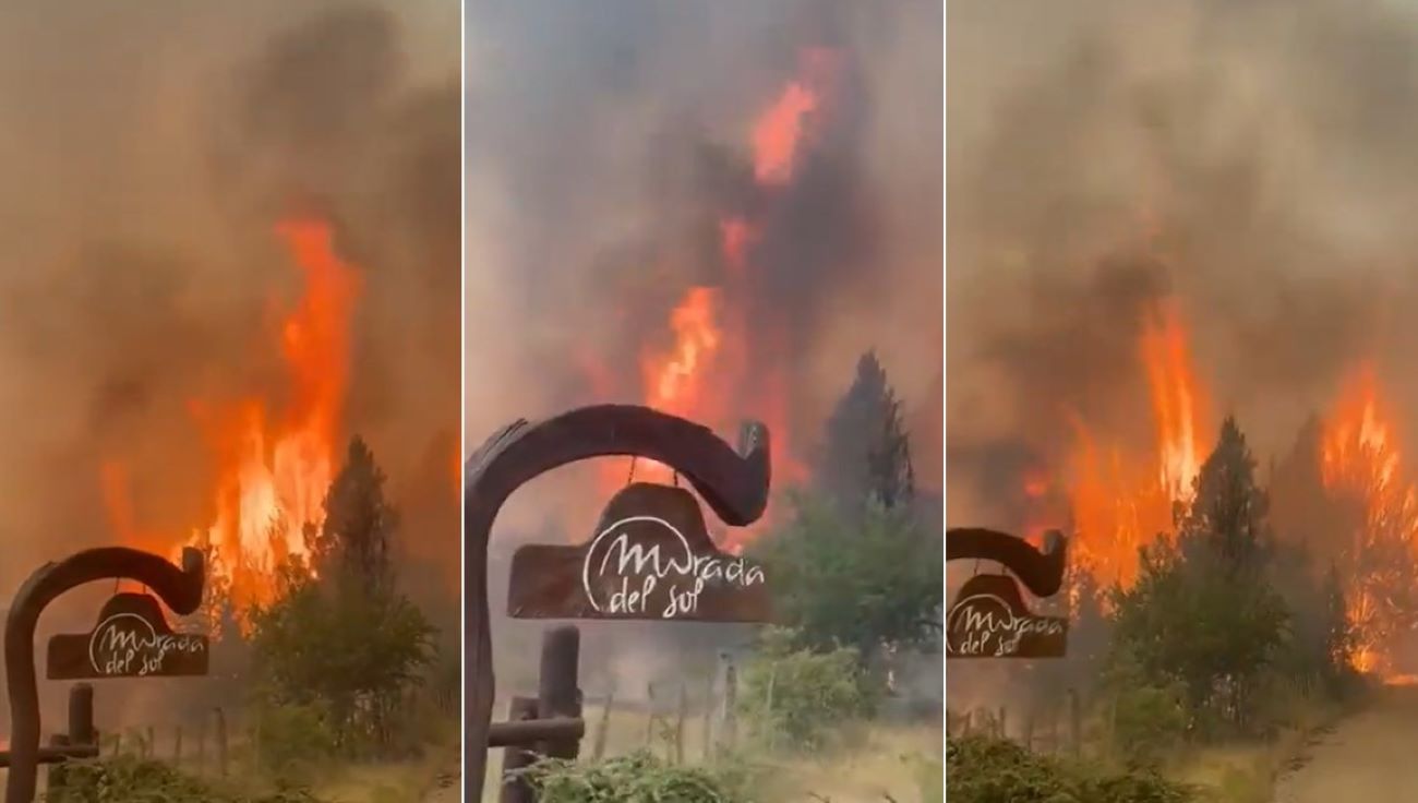 Incendi devastano la Patagonia argentina: un morto e migliaia di evacuati a El Bolson | VIDEO
