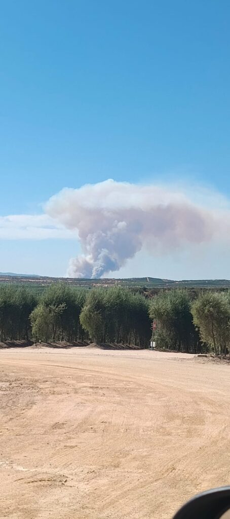 incendio cile