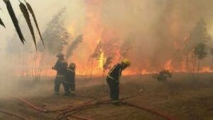 incendio parco lanin argentina