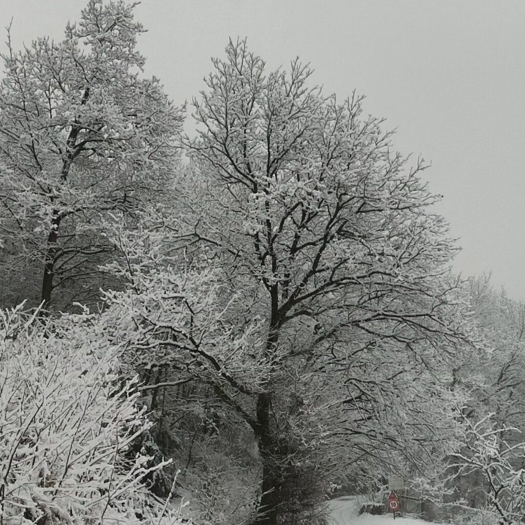 lerma piemonte neve oggi