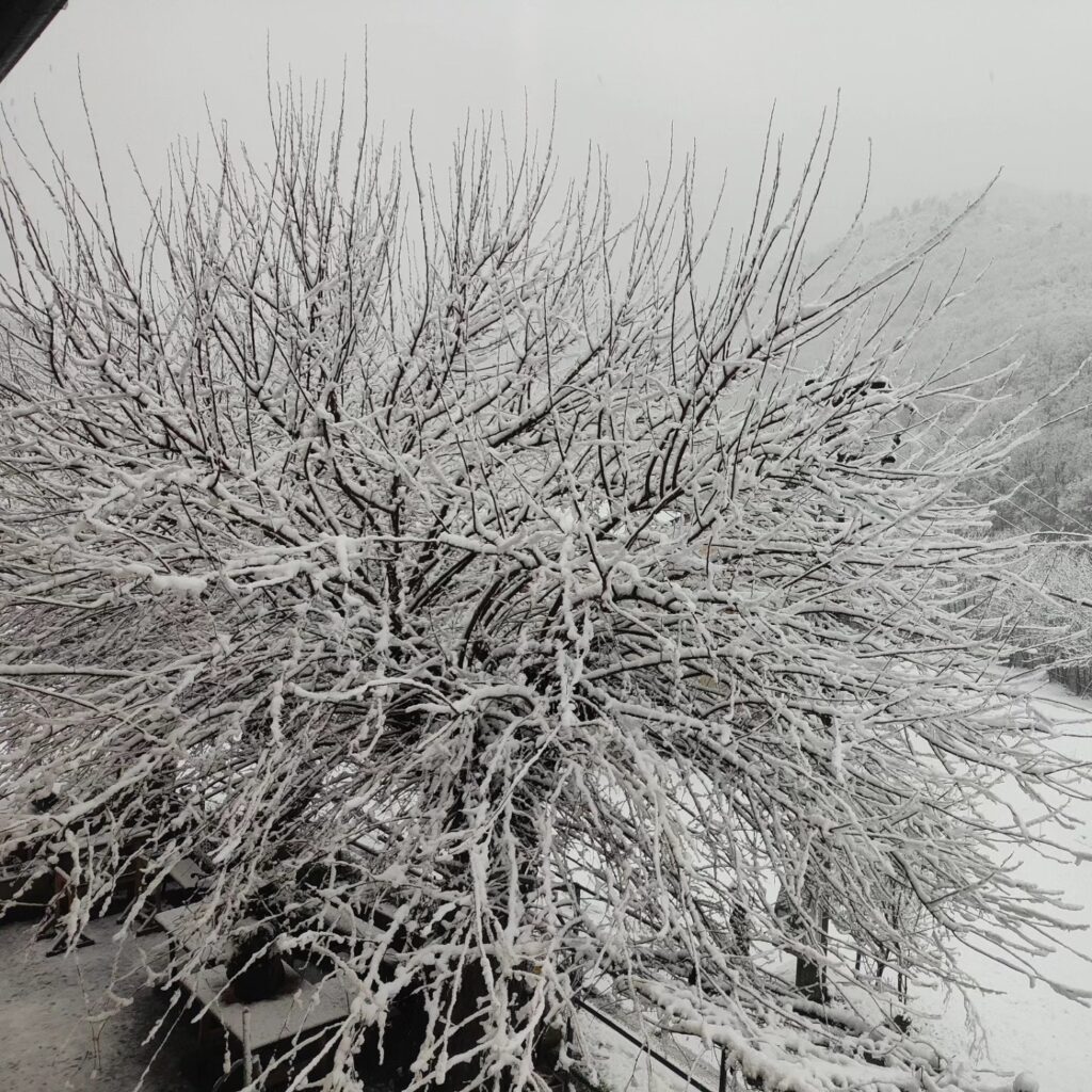 lerma piemonte neve oggi