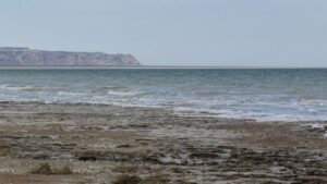 mare aral lago