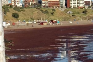 mare rosso argentina