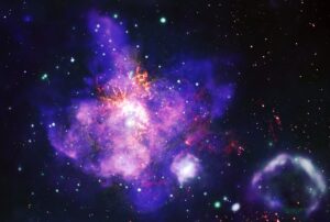 nasa mazzo fiori san valentino