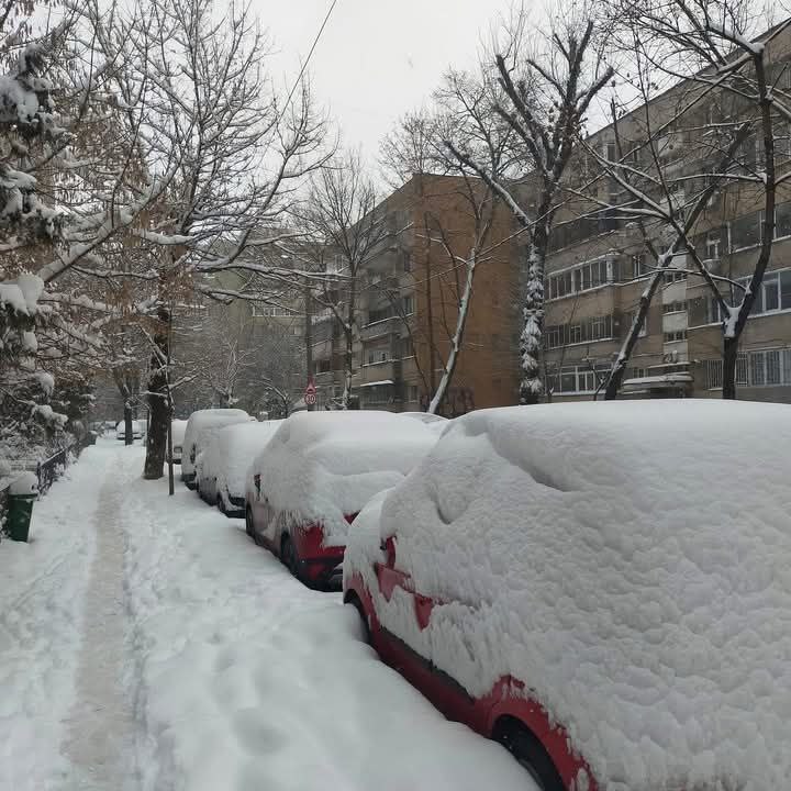 neve bucarest
