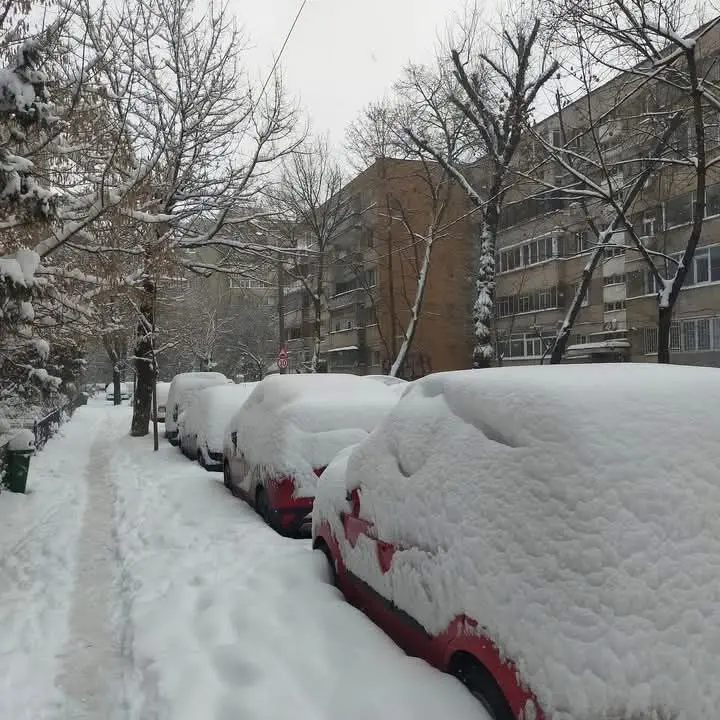 neve bucarest