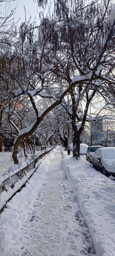 neve bucarest
