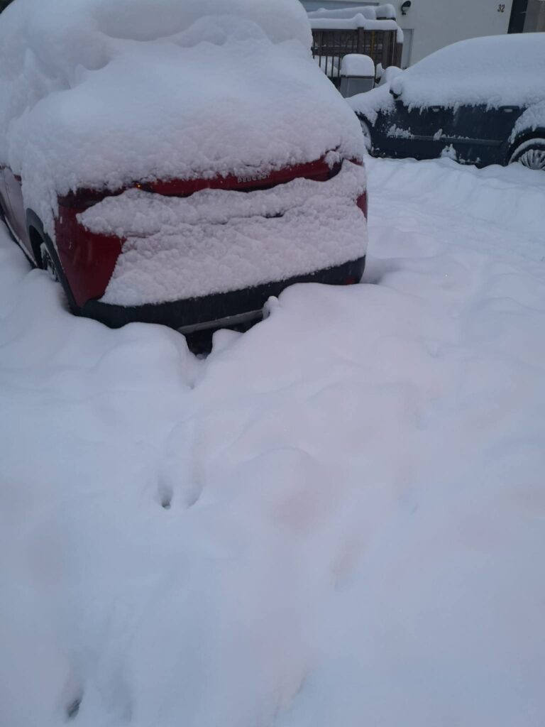 neve bucarest