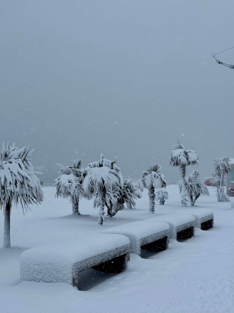 neve georgia
