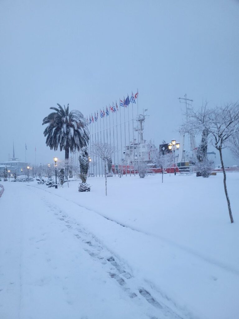 neve georgia