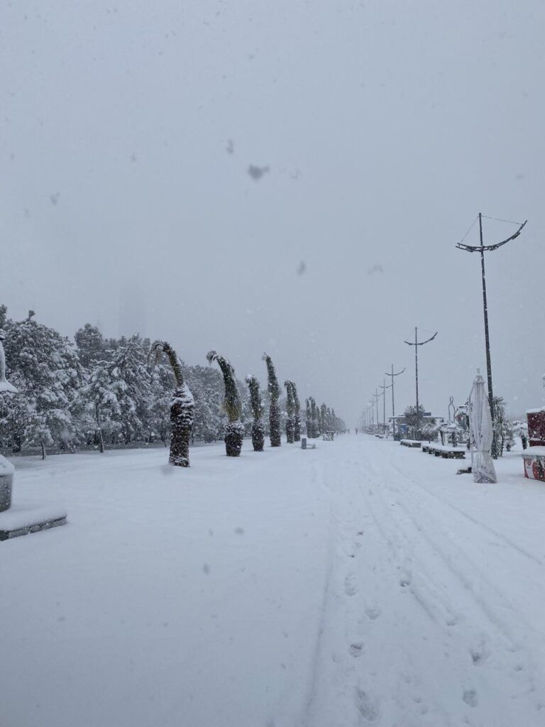 neve georgia