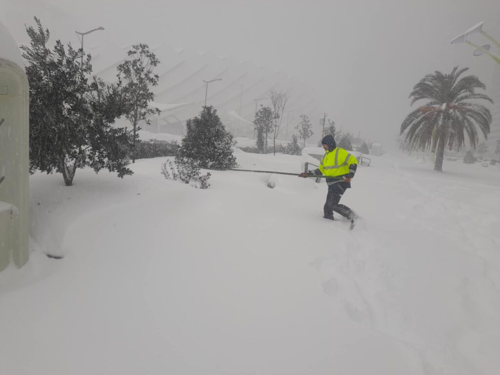 neve georgia batumi