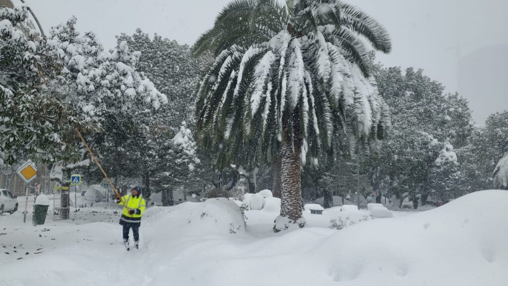 neve georgia batumi