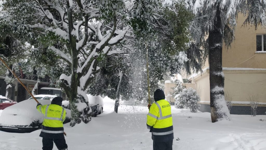 neve georgia batumi