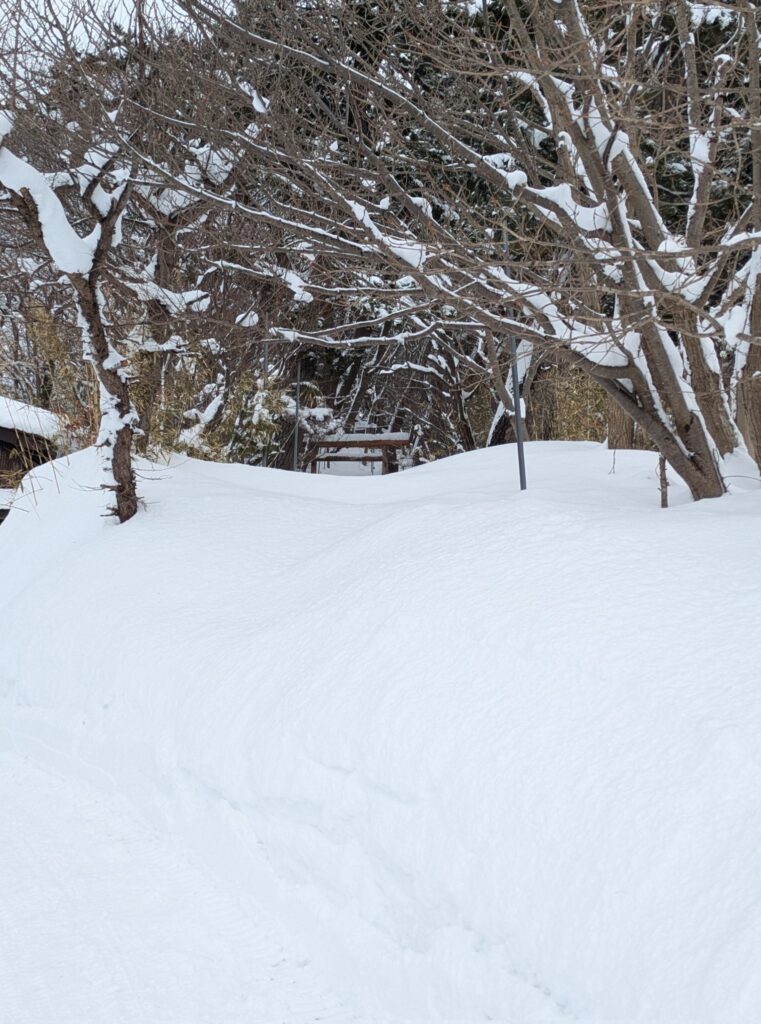 neve giappone aomori