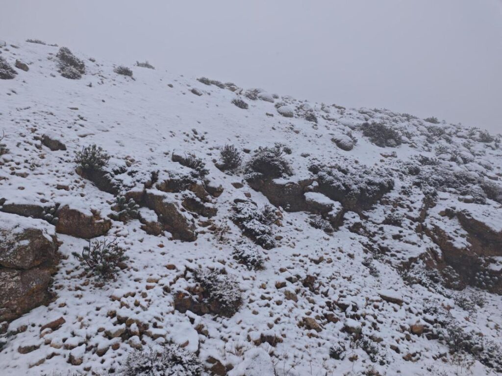 neve maiorca spagna