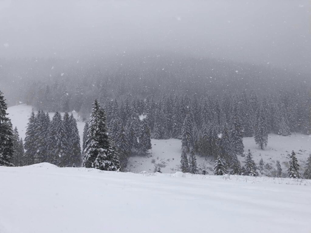 neve marcesina veneto