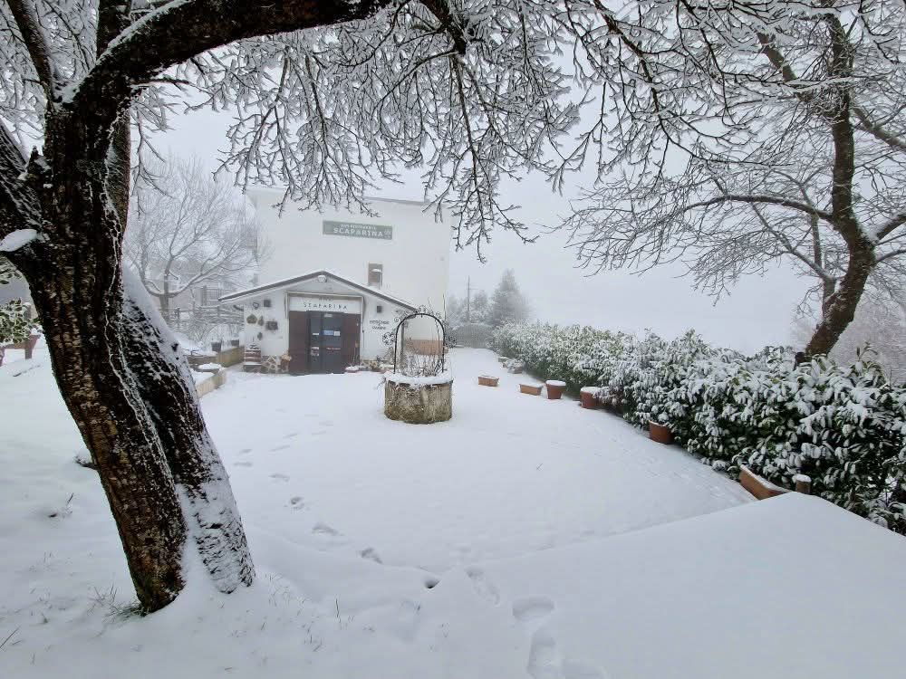 neve oltrepò pavese