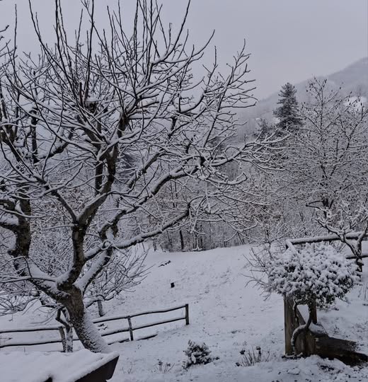neve oltrepò pavese