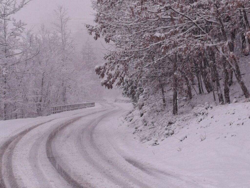neve pavese lombardia