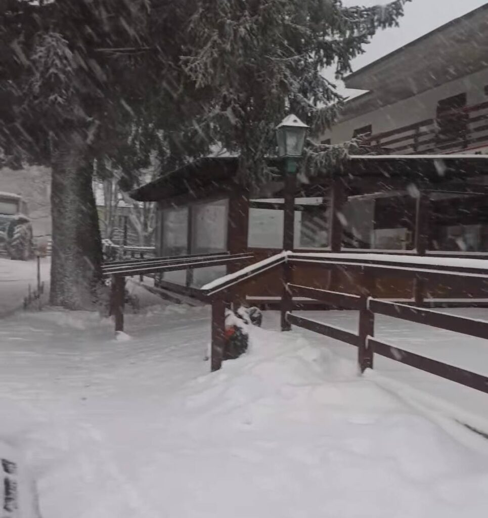 neve pavese lombardia