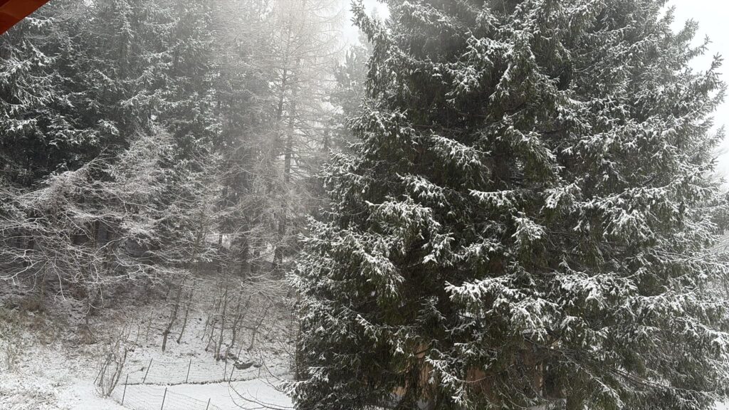 neve piemonte Caldirola
