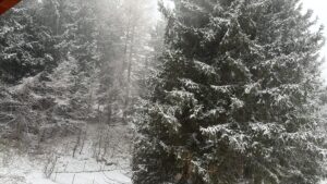 neve piemonte Caldirola