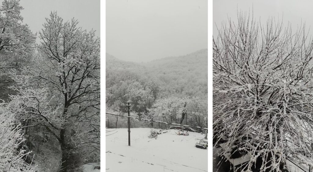 neve piemonte oggi