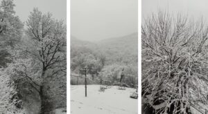 neve piemonte oggi