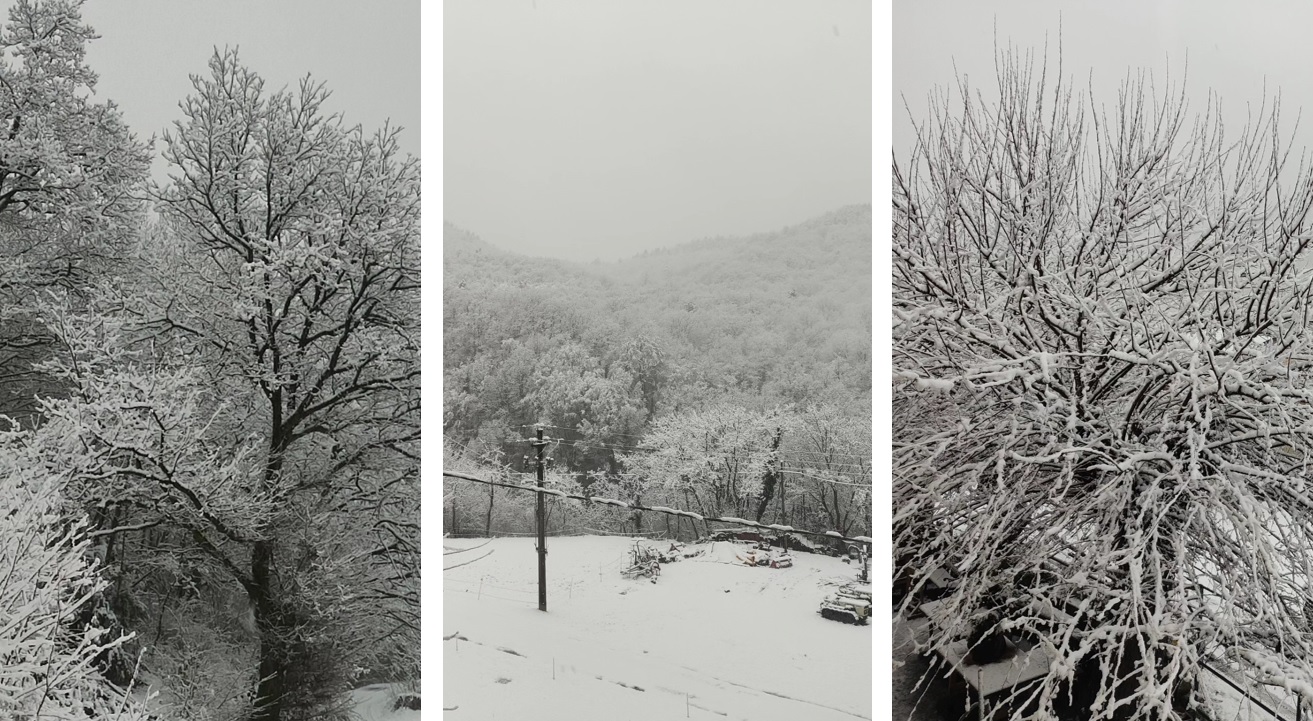 Risveglio fiabesco: la neve abbraccia Piemonte, Emilia-Romagna e Liguria | FOTO