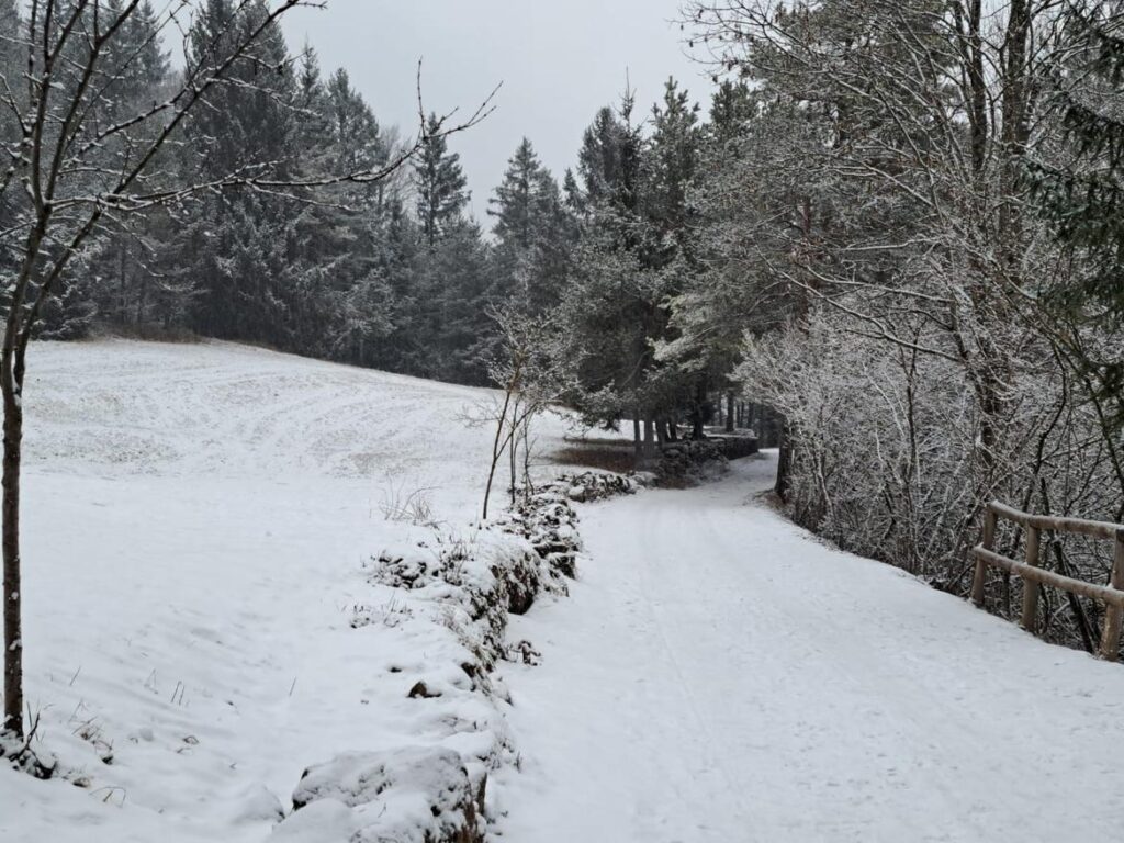 trentino