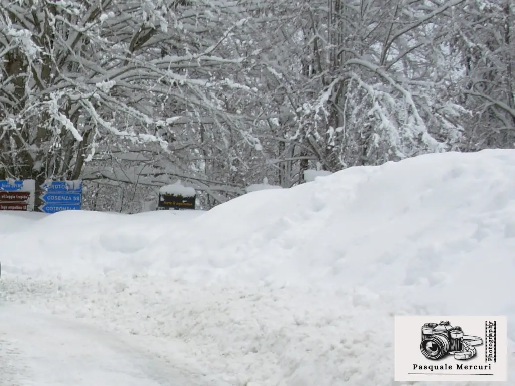 neve villaggio mancuso-ciricilla febbraio 2010