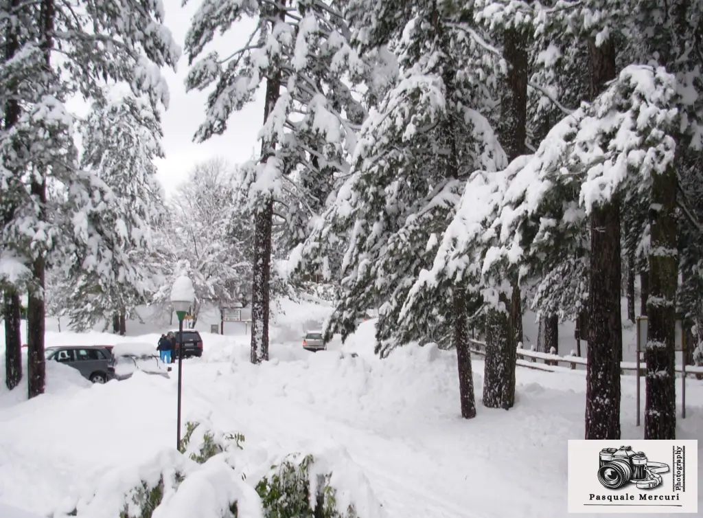 neve villaggio mancuso-ciricilla febbraio 2010