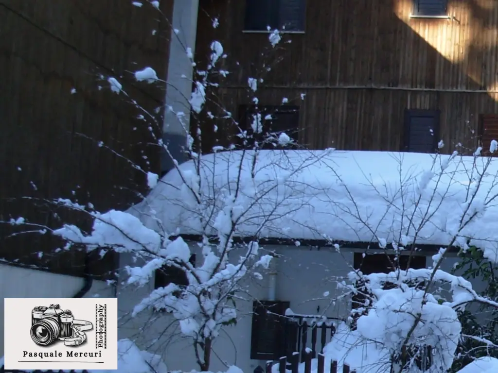 neve villaggio mancuso-ciricilla febbraio 2010