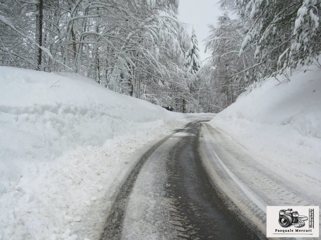 neve villaggio mancuso-ciricilla febbraio 2010