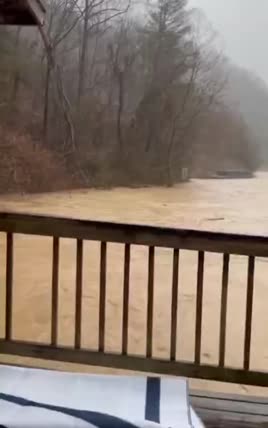 virginia