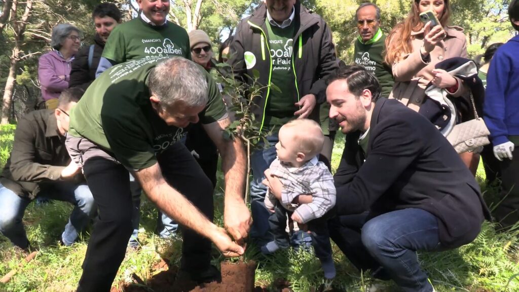 400 alberi per palermo monte pellegrino