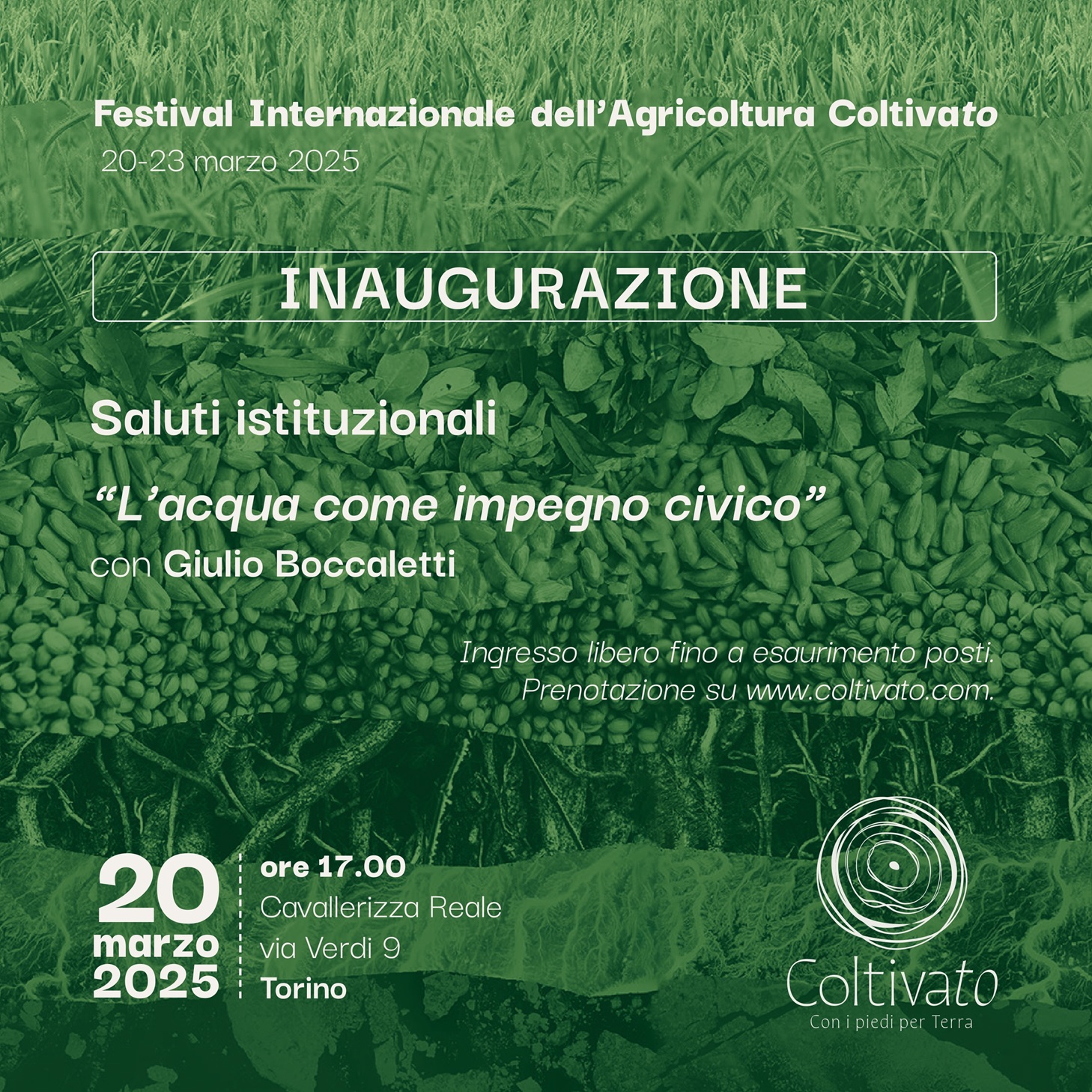 Coltivato