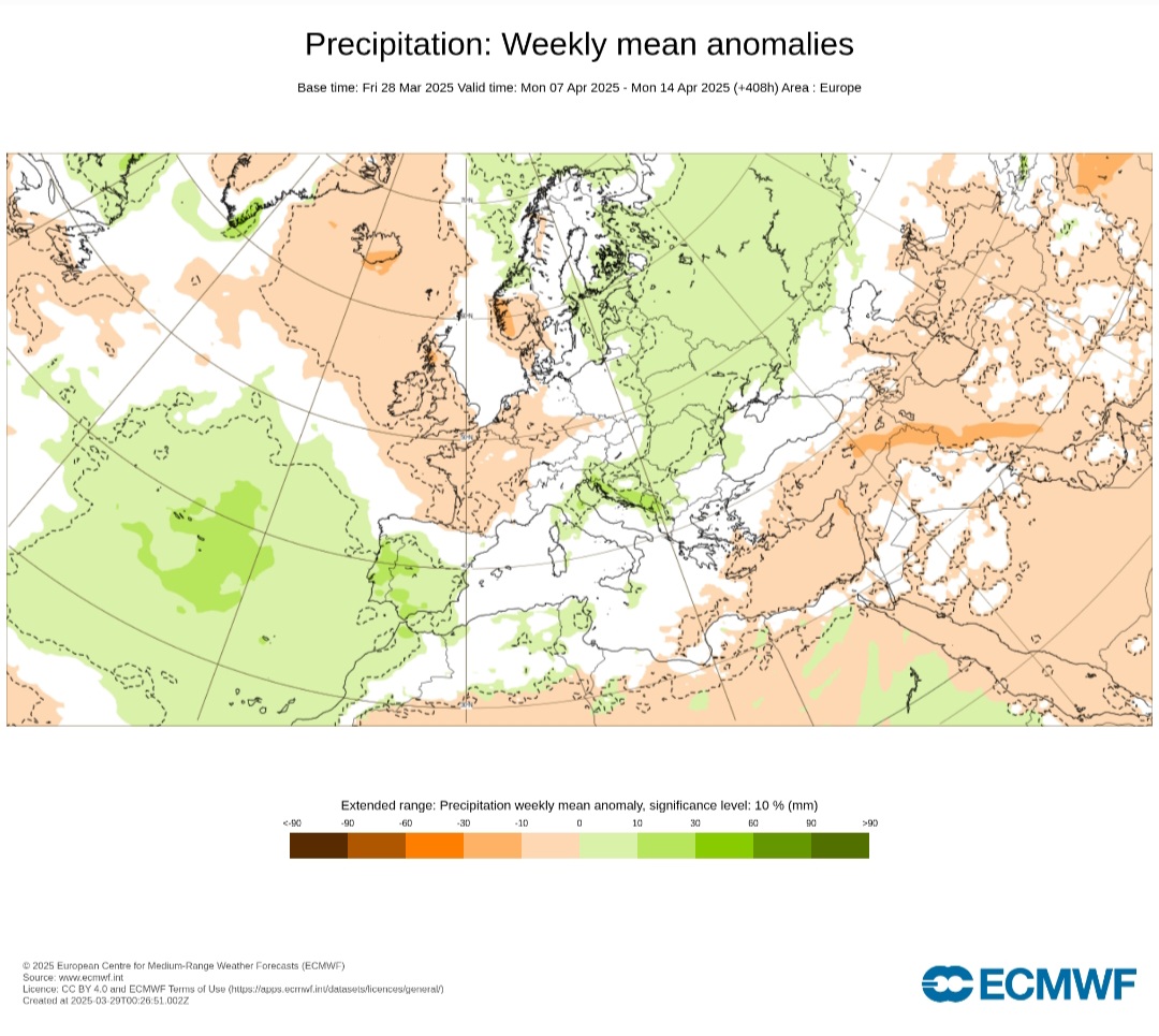 ECMWF anomalie di precipitazioni