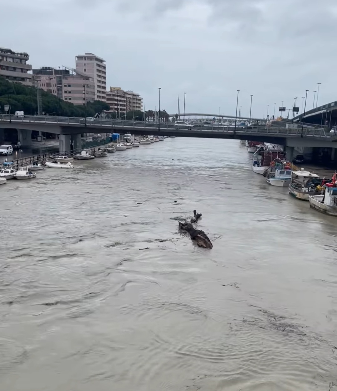 Fiume Pescara