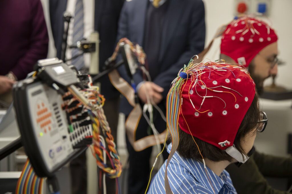 Neuroestetica